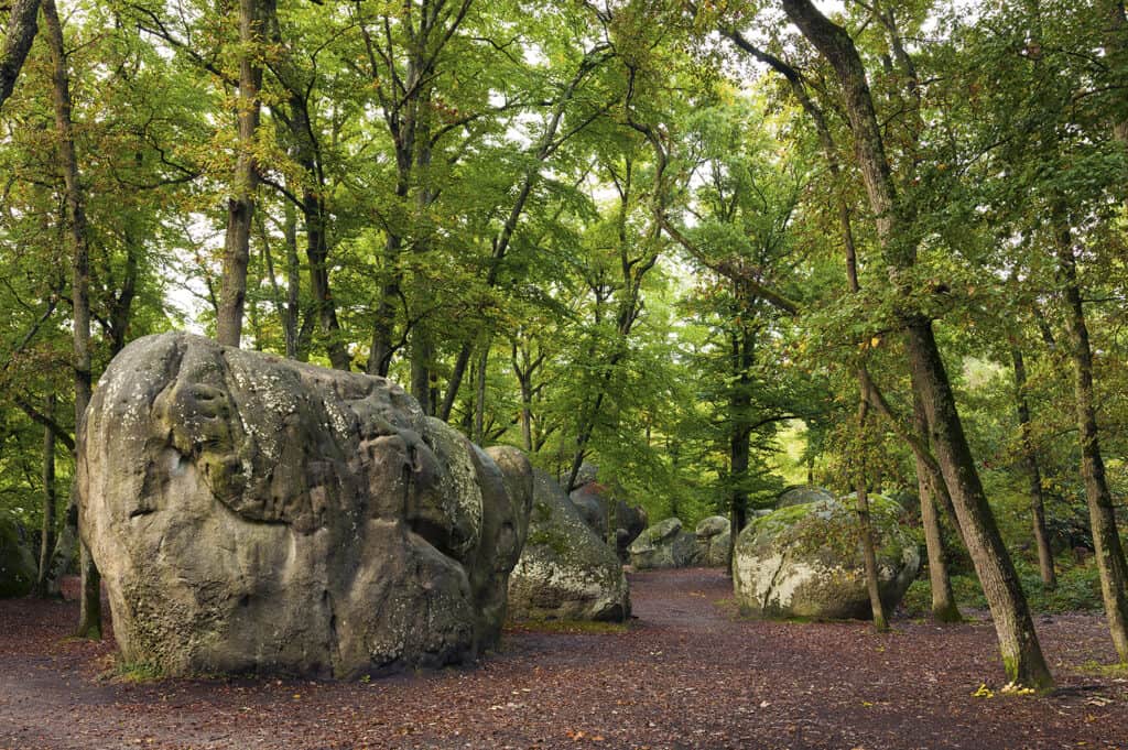 Un bloc dans la forêt de Fountainbleau France