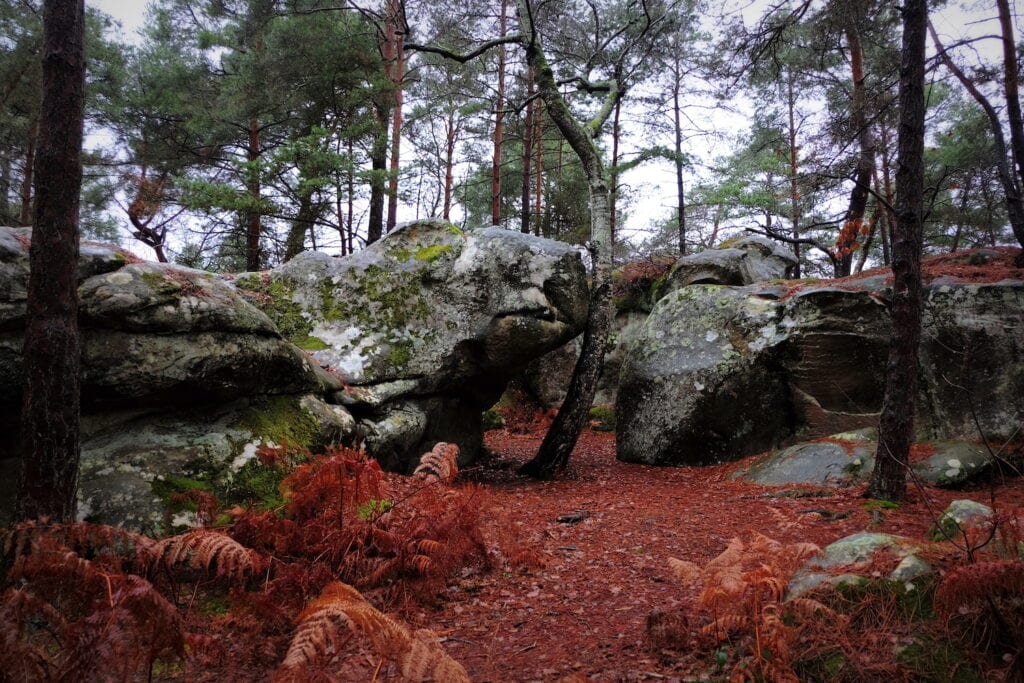 forest boulders natural rock
