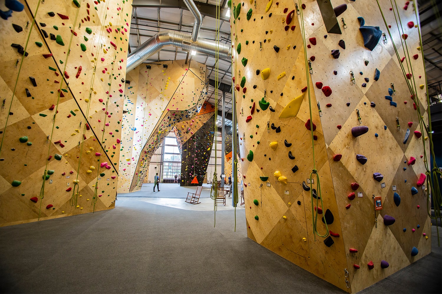Our 5 Climbing Gym Picks in Denver (2024 Guide)
