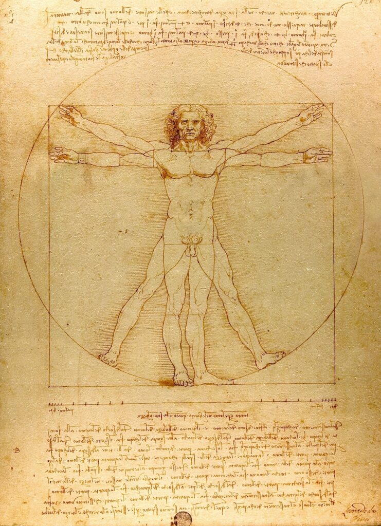 Vitruvian man Leonardo da Vinci