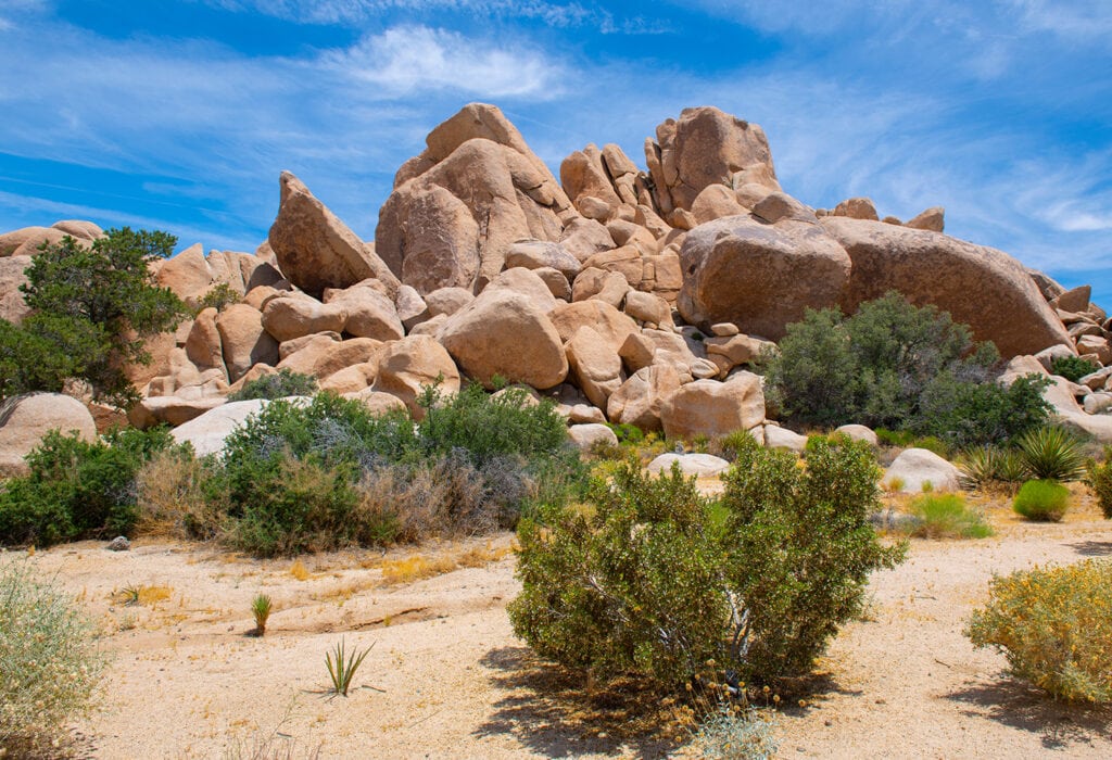 Joshua Tree California bouldering locations