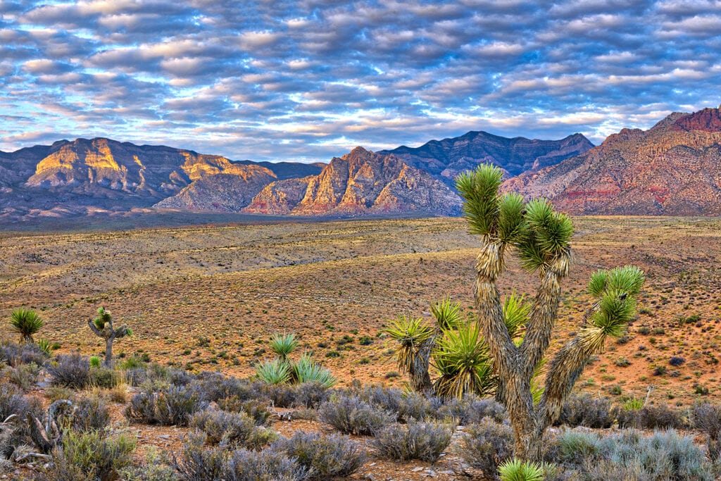 Nevada atural scenery with ancient sand dunes
