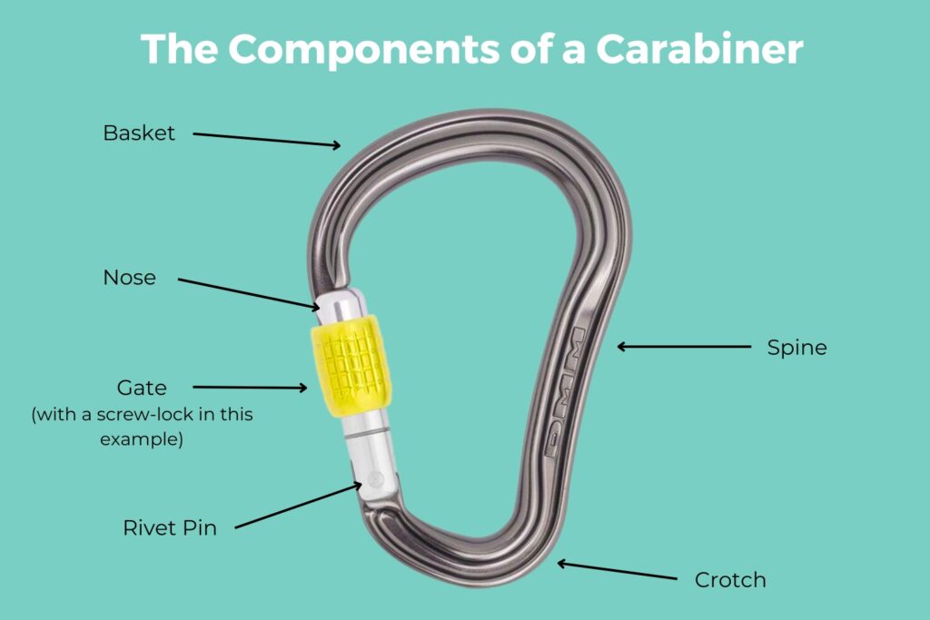 Carabiner components (schema)