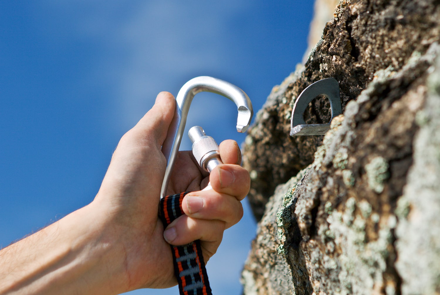 The Different Types of Carabiners for Climbing (2024 Guide)