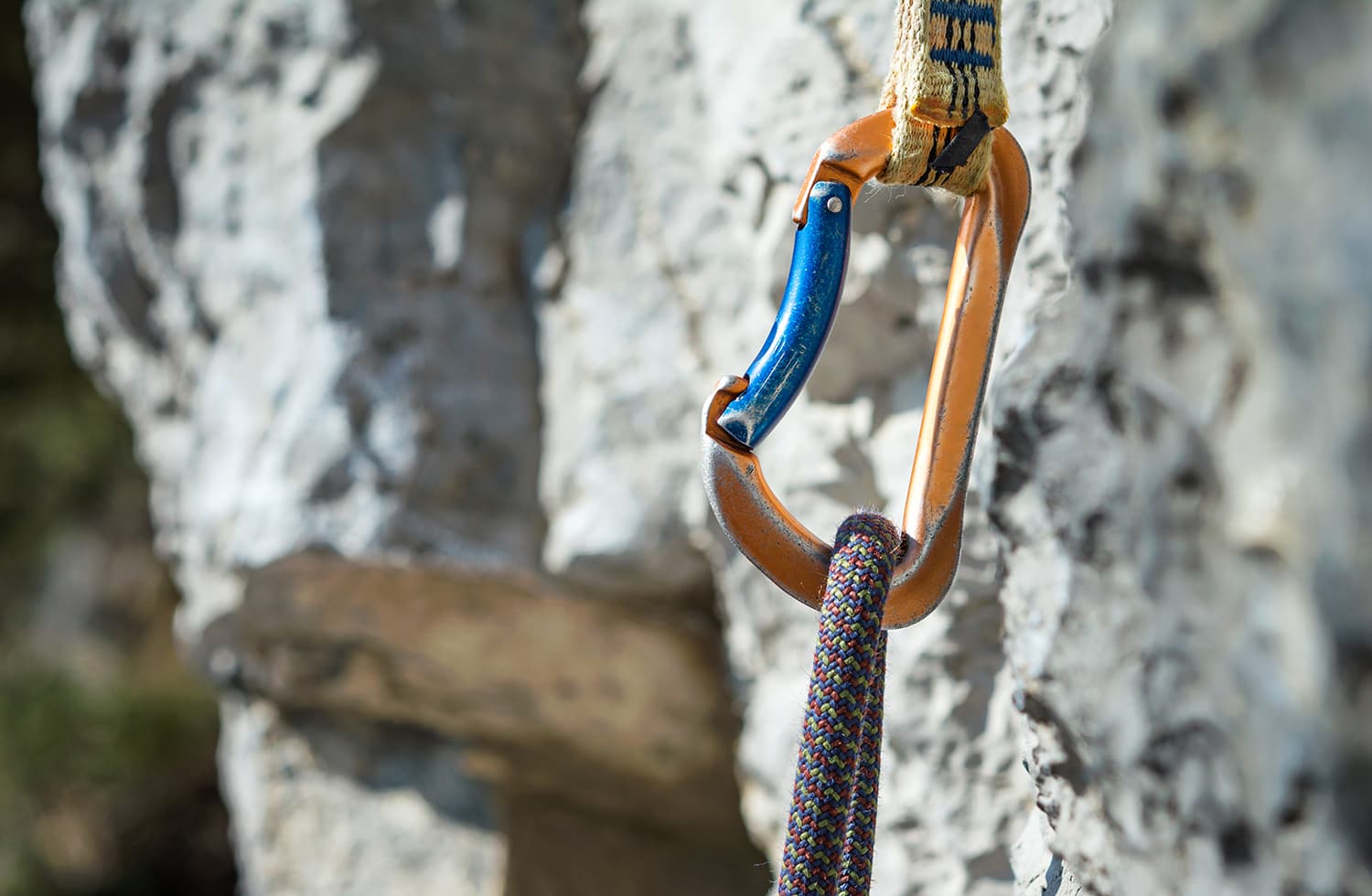 The Different Types of Carabiners for Climbing (2024 Guide)