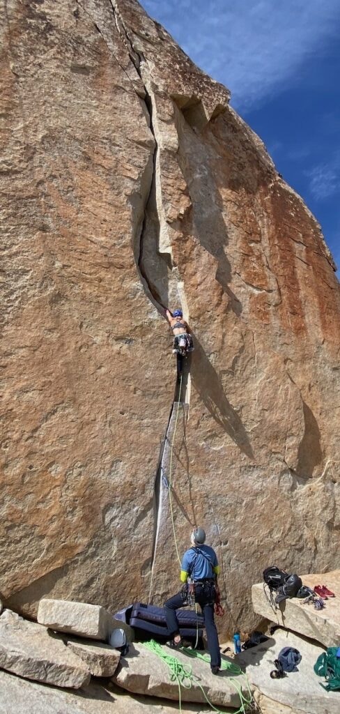 wren climbing in joshua tree with the left hand in a crack